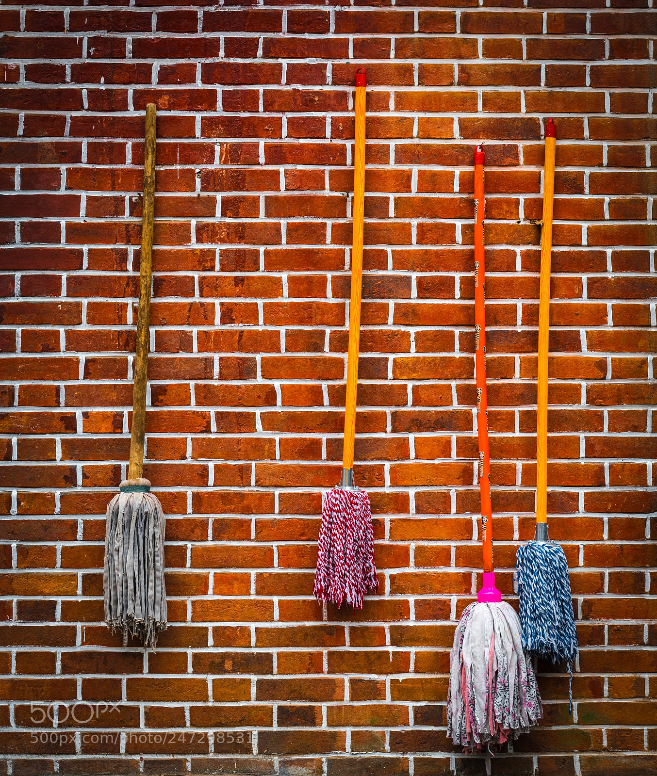 Sony a7R II sample photo. Dsc09543 photography