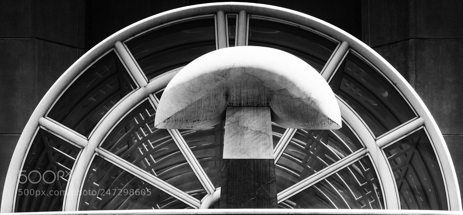 Nikon D810 sample photo. Mushroom photography