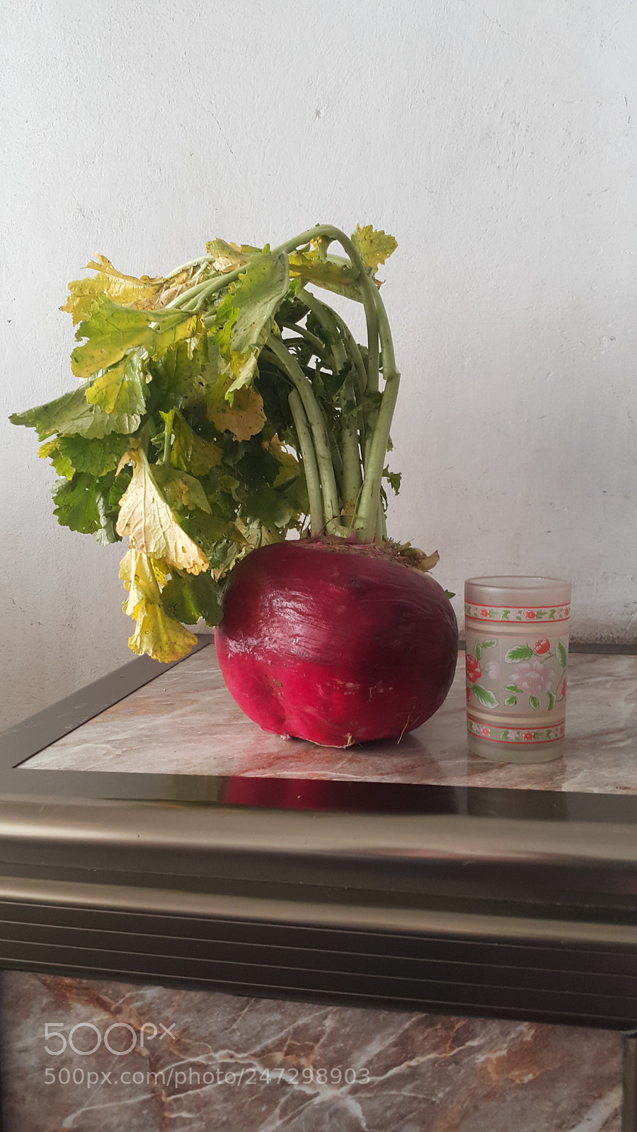 Samsung Galaxy Note4 sample photo. The biggest radish i photography