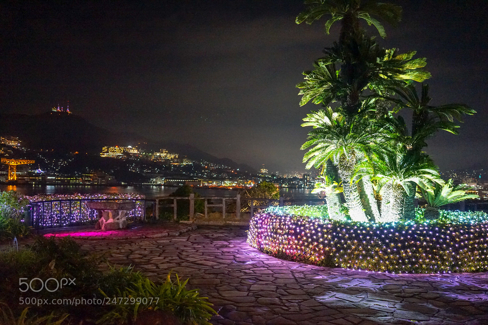 Sony a7 II sample photo. Glover garden lightup photography