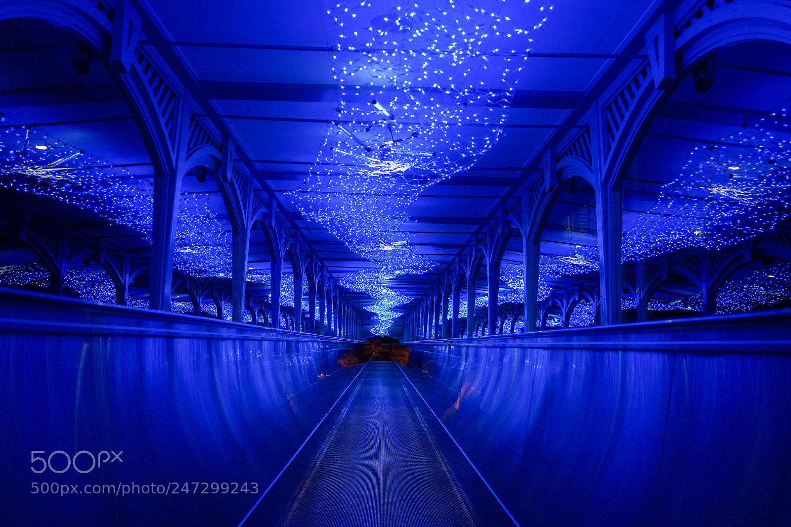 Sony a7 II sample photo. Lightup escalator photography