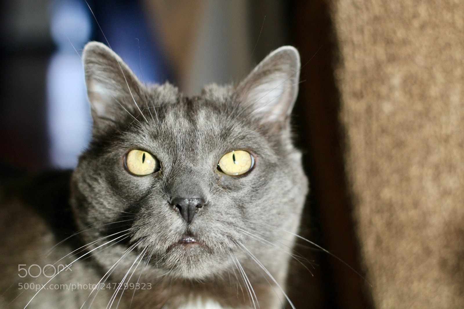 Canon EOS 1200D (EOS Rebel T5 / EOS Kiss X70 / EOS Hi) sample photo. Storm. photography