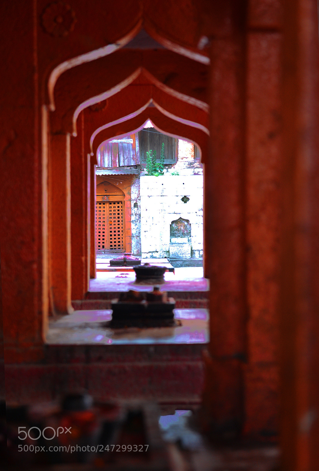 Nikon Df sample photo. Untitled photography