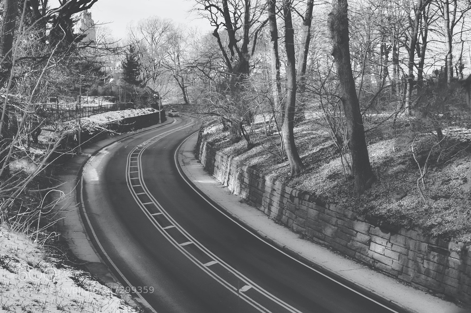 Nikon D5500 sample photo. Curve photography