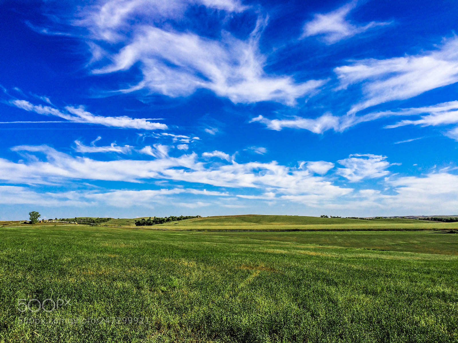 Apple iPhone 5s sample photo. Summer in nebraska photography