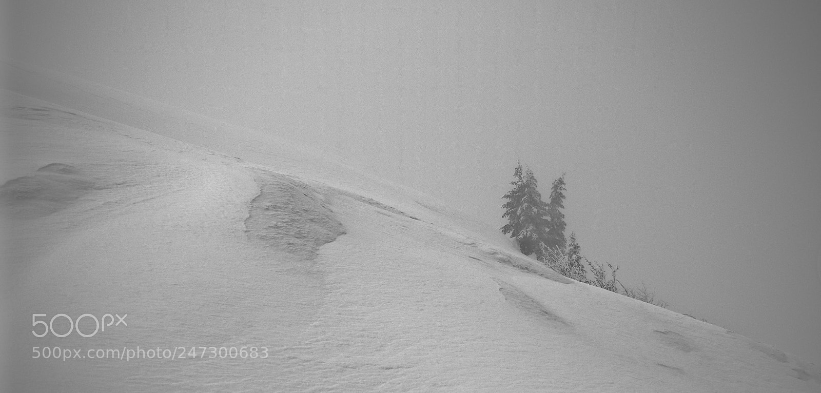 Fujifilm X-T1 sample photo. Fog photography