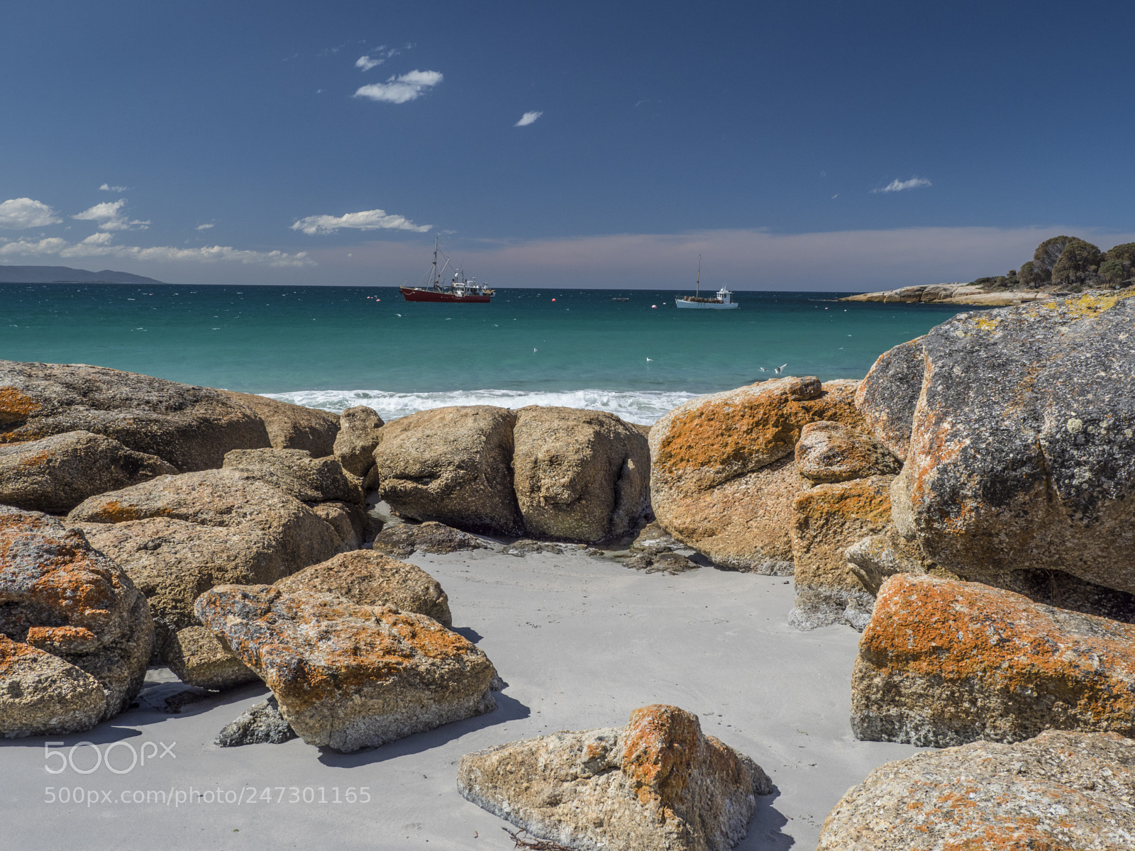 Olympus OM-D E-M1 Mark II sample photo. Bicheno boats photography