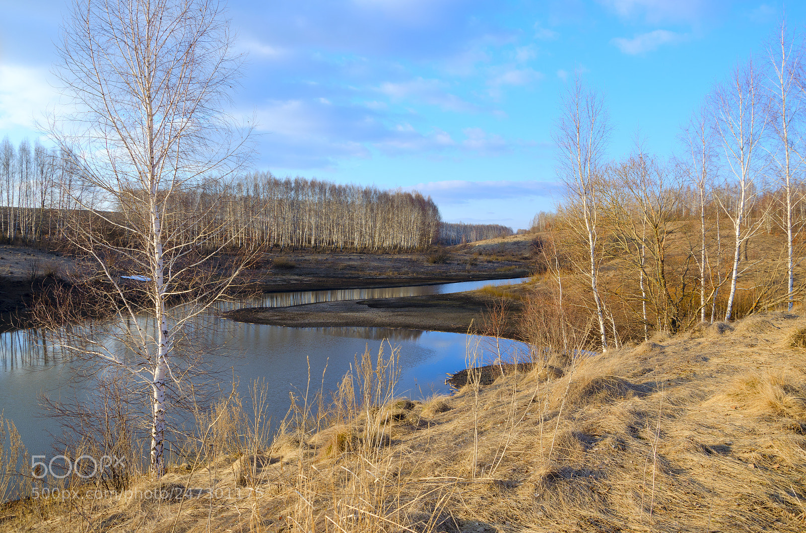Nikon D5100 sample photo. Springtime photography