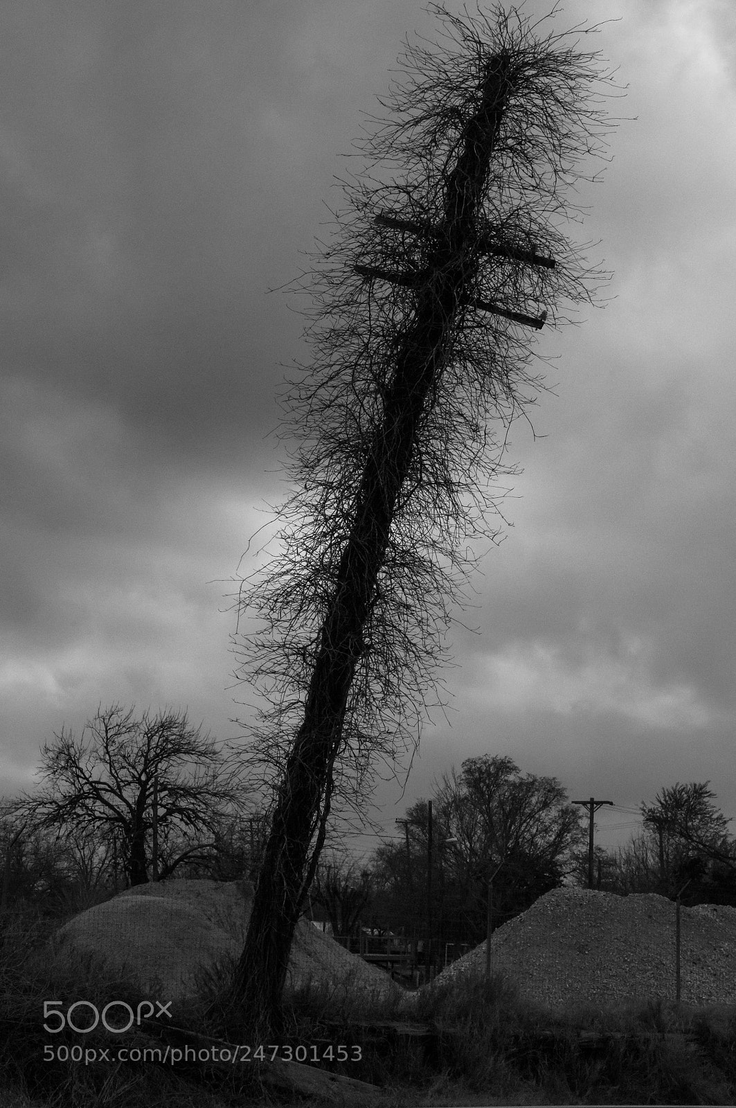 Nikon D300 sample photo. Post photography