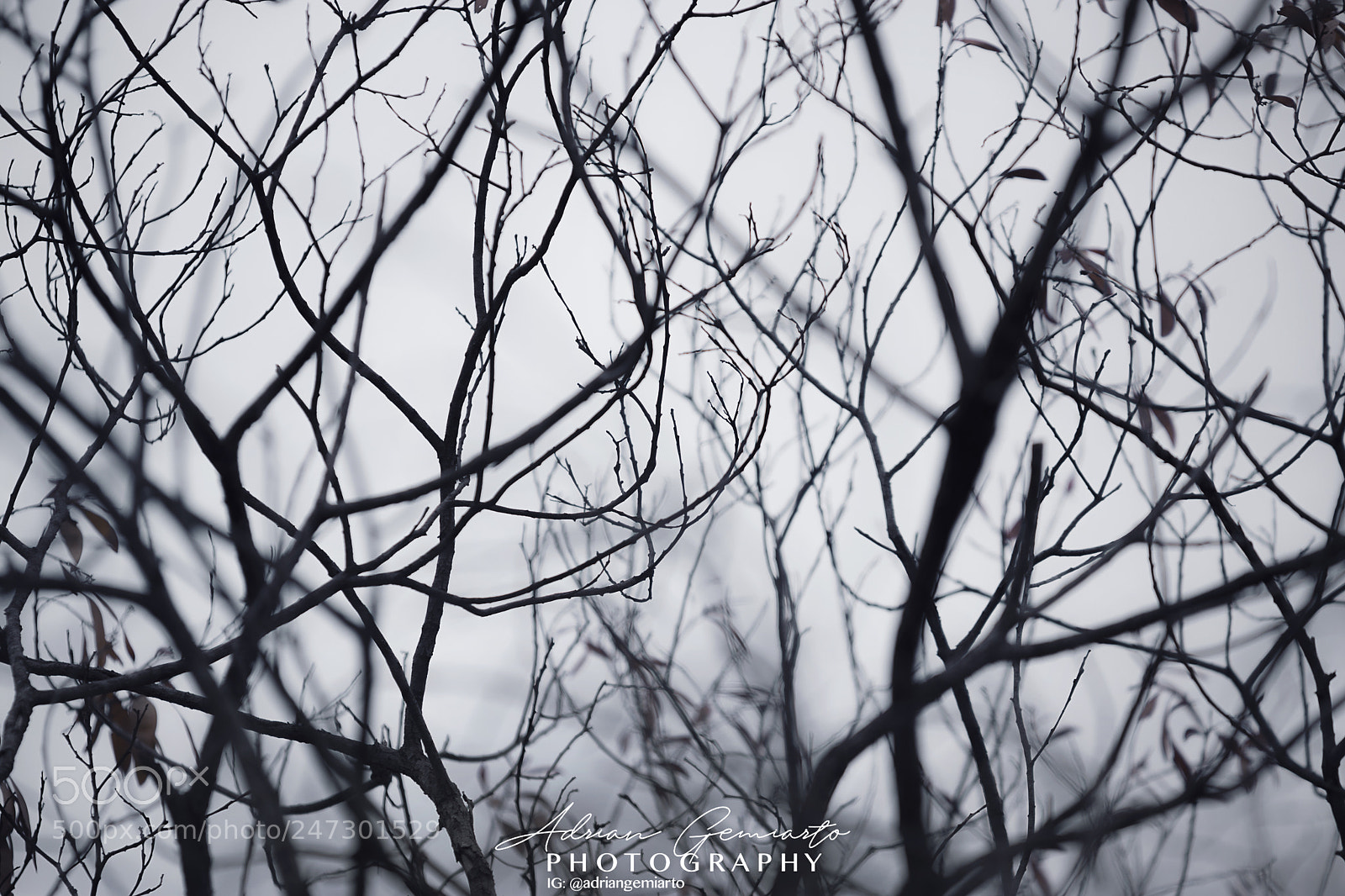 Nikon D7200 sample photo. Moody winter in summer photography