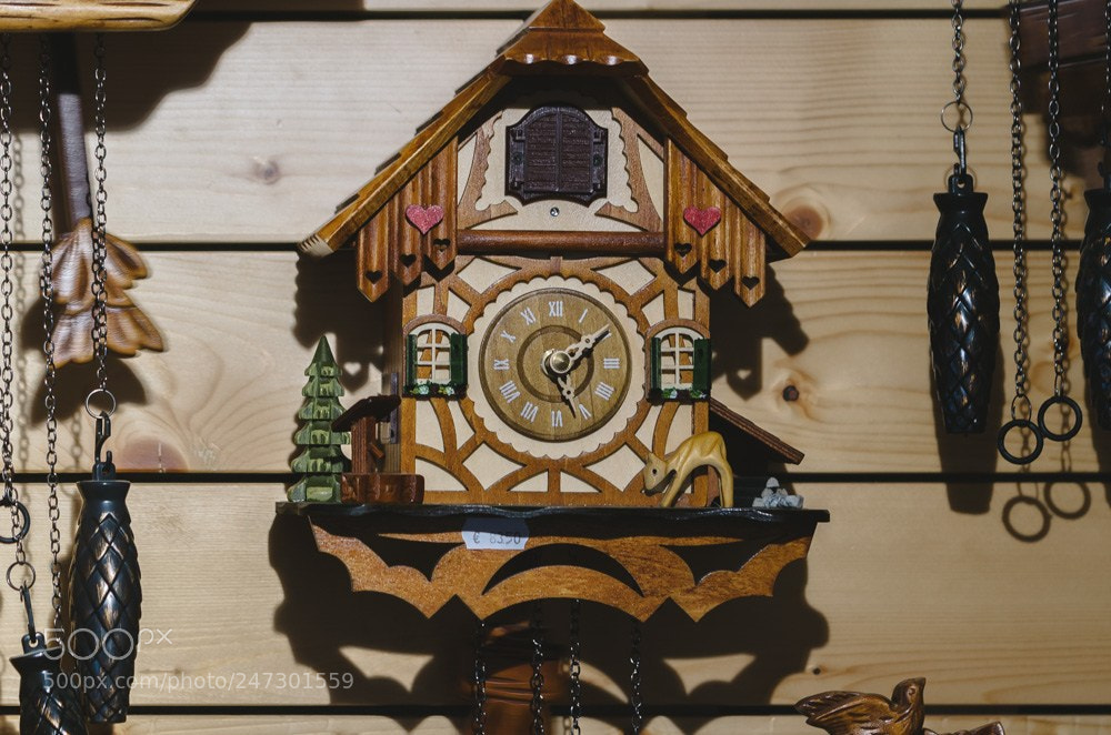 Nikon D5100 sample photo. Cuckoo forest cuckoo clocks photography