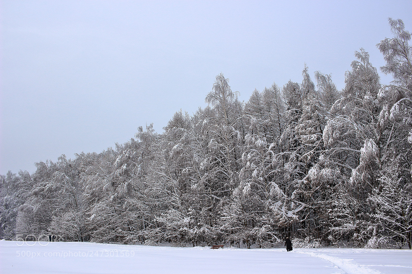 Canon EOS 100D (EOS Rebel SL1 / EOS Kiss X7) sample photo. Winter photography