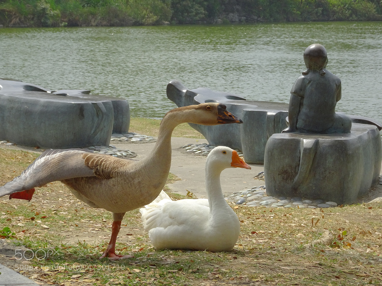 Sony Cyber-shot DSC-HX90V sample photo. Untitled photography
