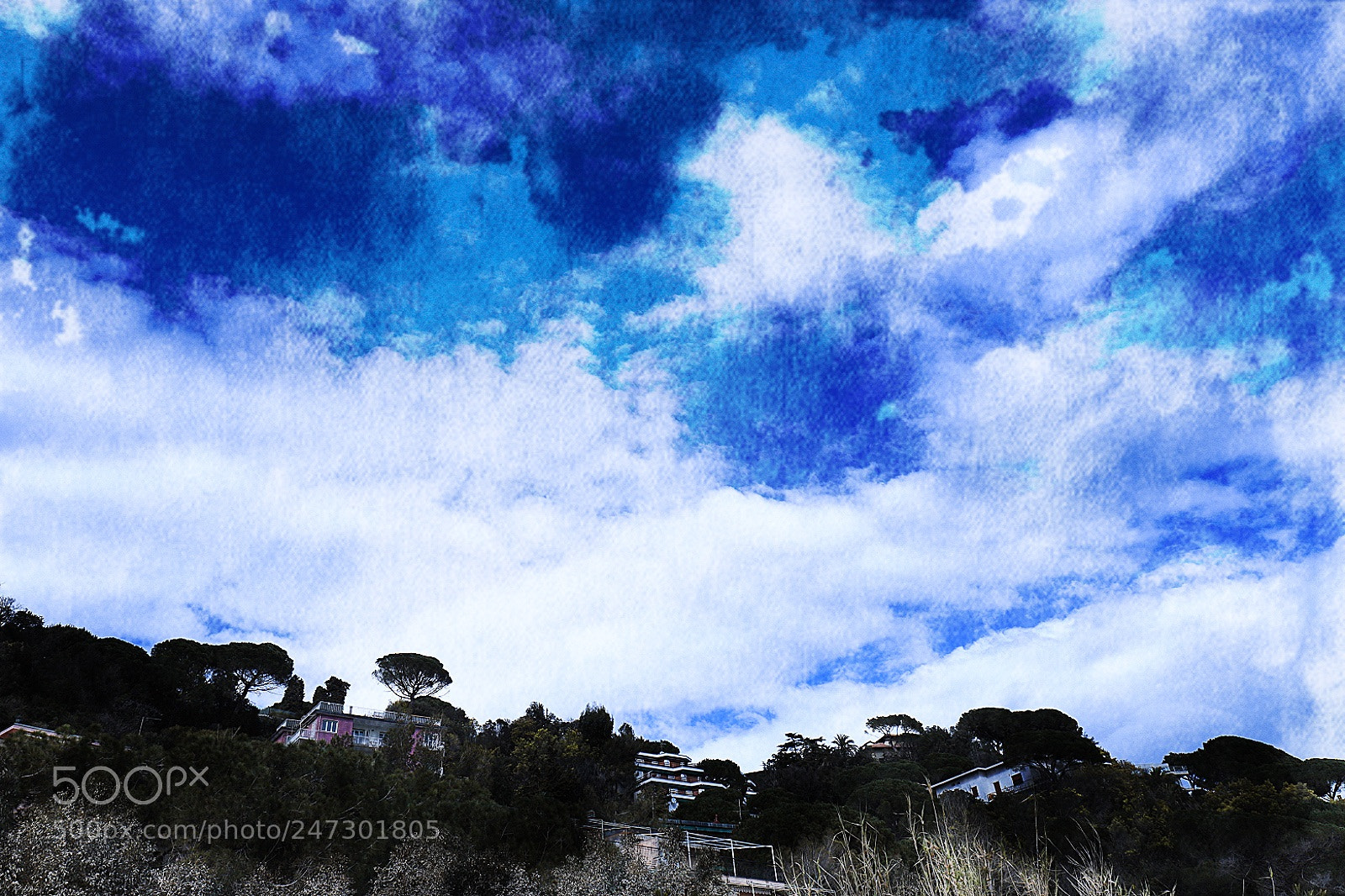 Canon EOS 6D Mark II sample photo. Untitled photography