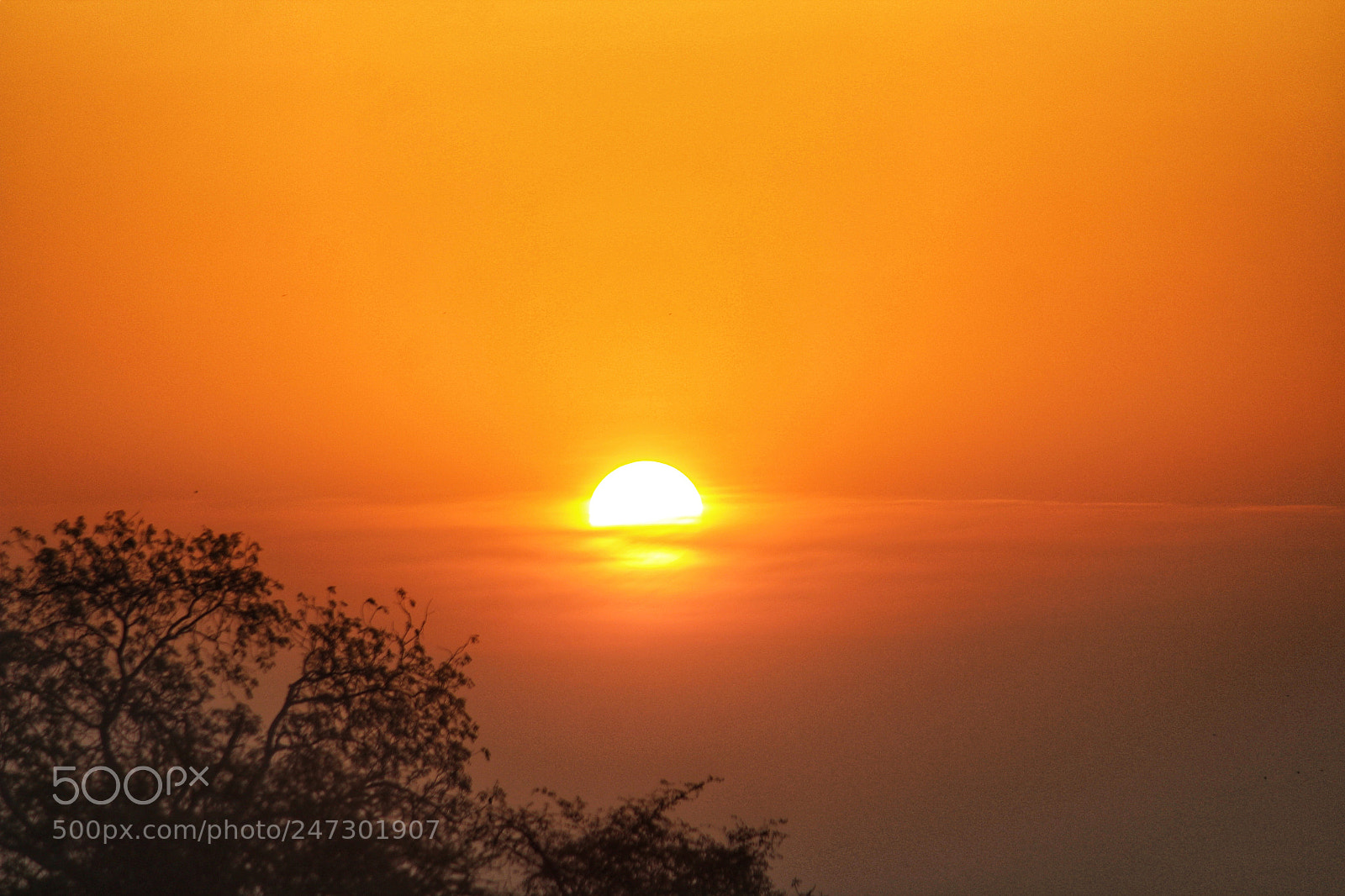 Canon EOS 1300D (EOS Rebel T6 / EOS Kiss X80) sample photo. Sunrise india photography