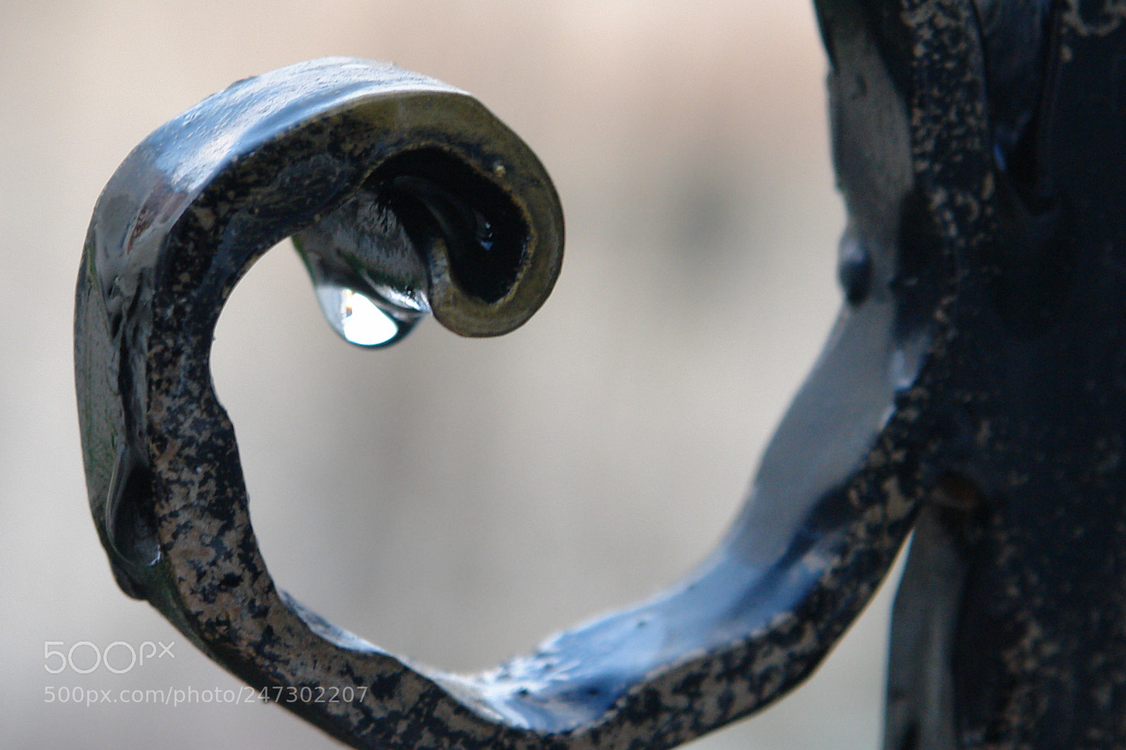 Sony DSC-R1 sample photo. Untitled photography