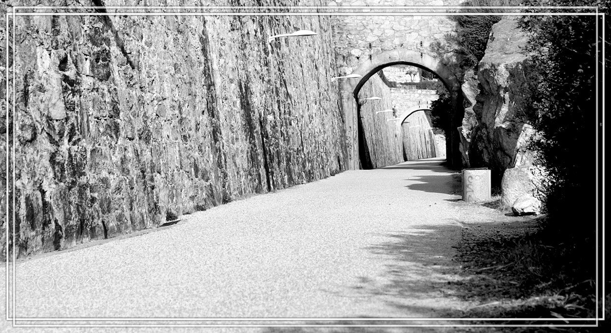 Canon EOS 6D Mark II sample photo. Untitled photography