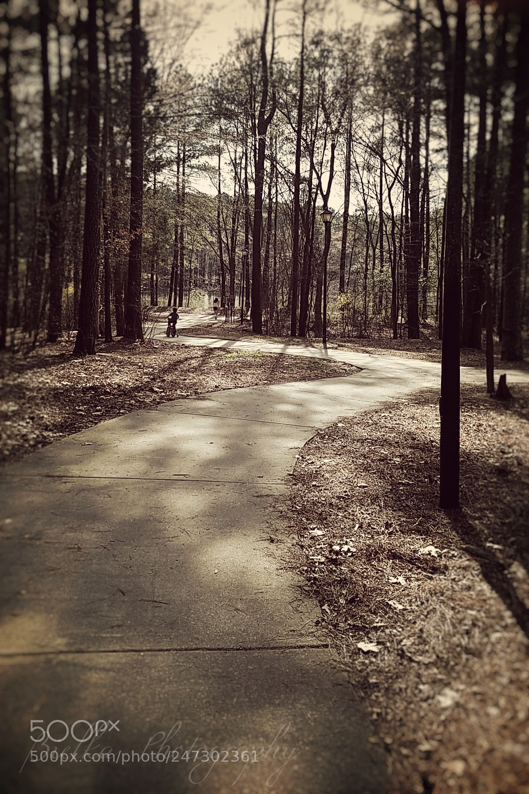 Samsung Galaxy S7 sample photo. Lonely path photography