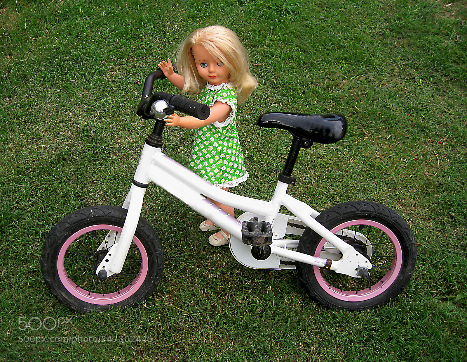 Canon DIGITAL IXUS 960 IS sample photo. Polly and bike photography