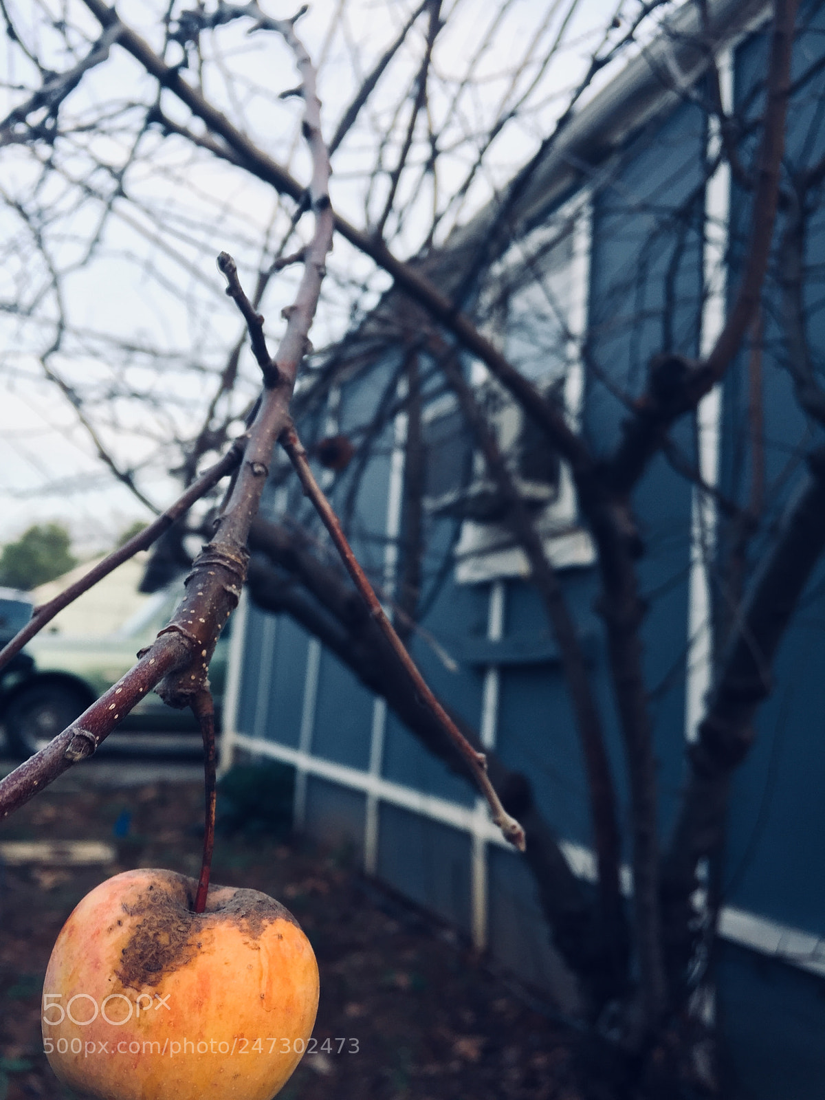 Apple iPhone 6 sample photo. Last photography