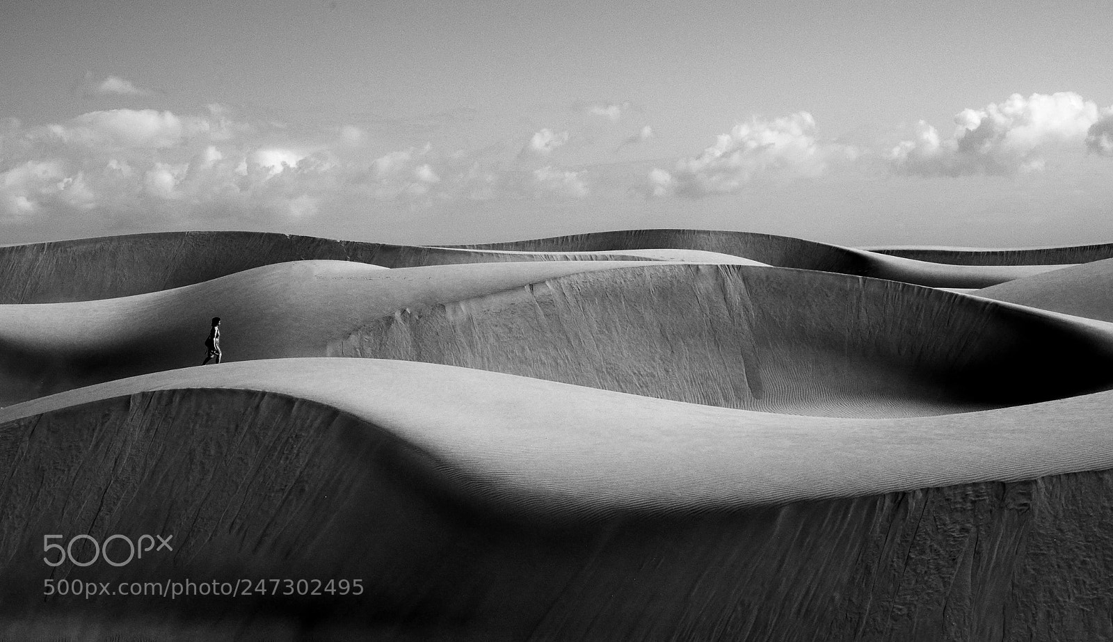 Nikon D70 sample photo. Desert lines photography