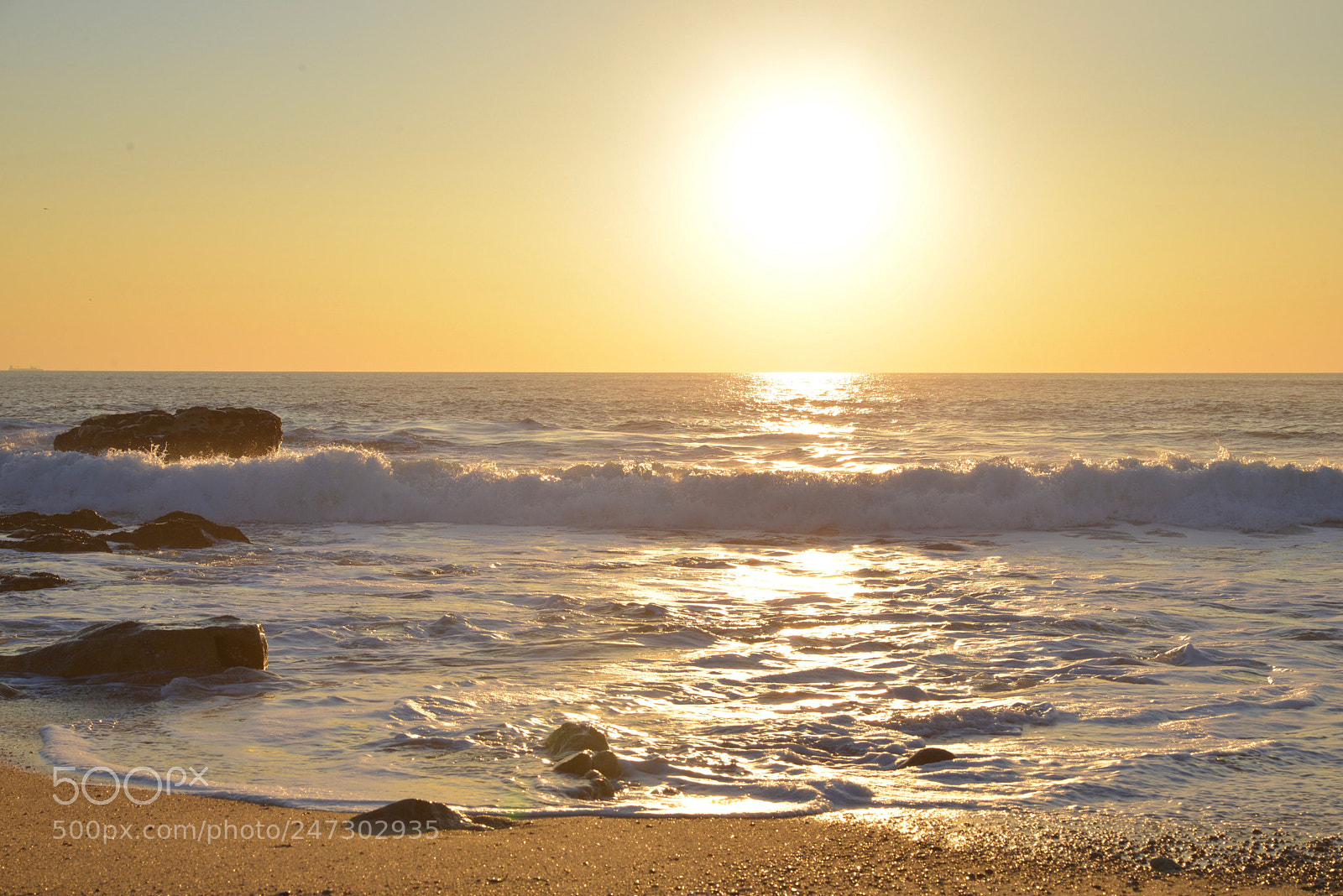 Nikon D610 sample photo. The golden hour photography