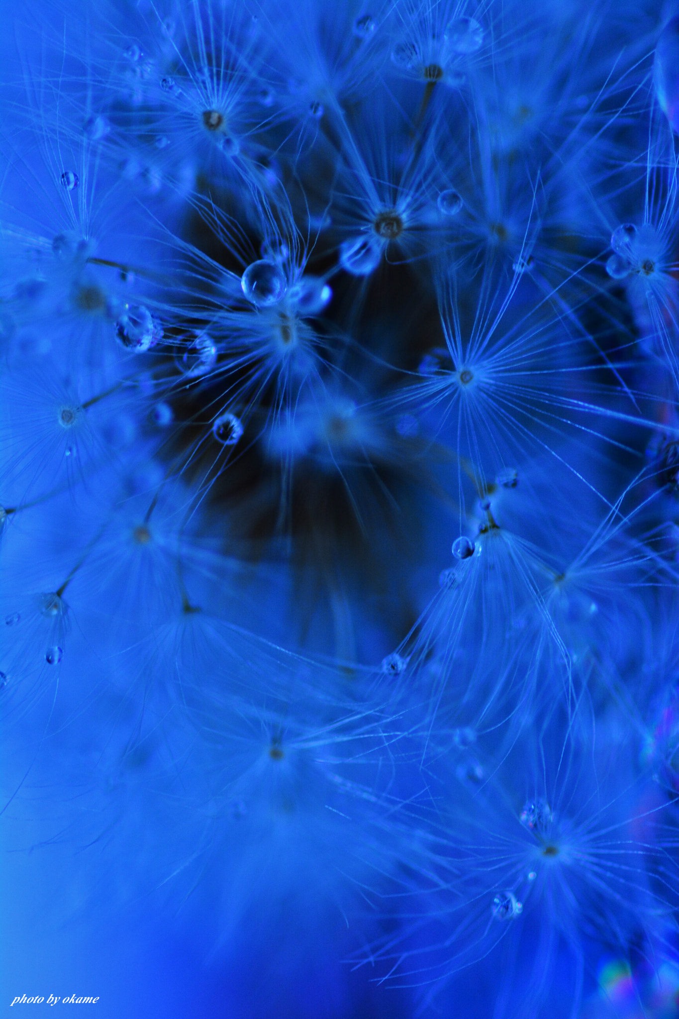 Nikon D5200 sample photo. (attract) photography