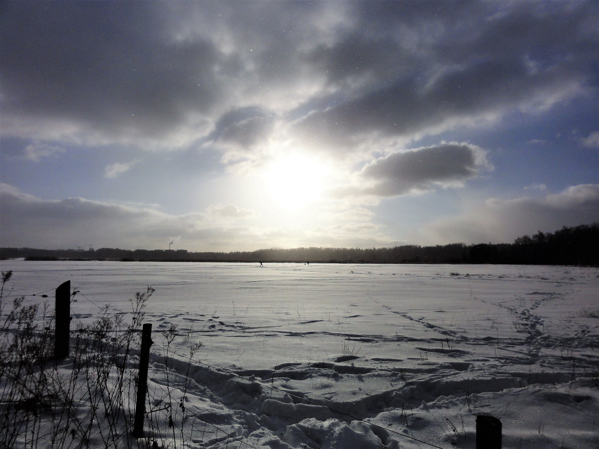 Sony DSC-HX5V sample photo. Light snow rain 2 photography