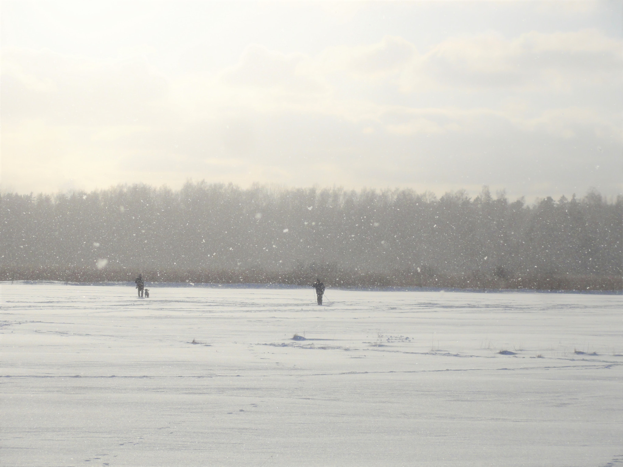 Sony DSC-HX5V sample photo. Light snow rain photography