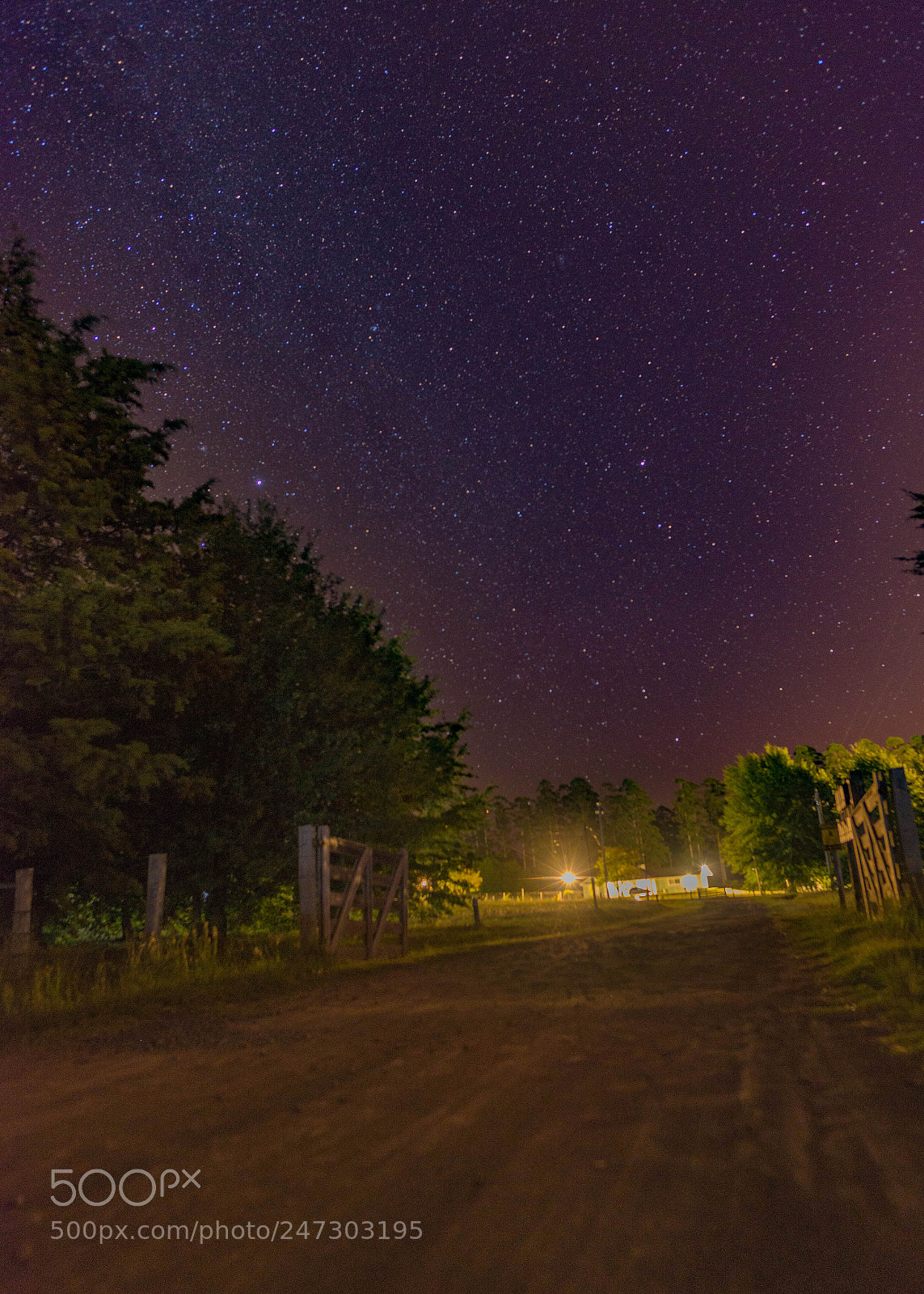 Nikon D610 sample photo. Casa de campo photography