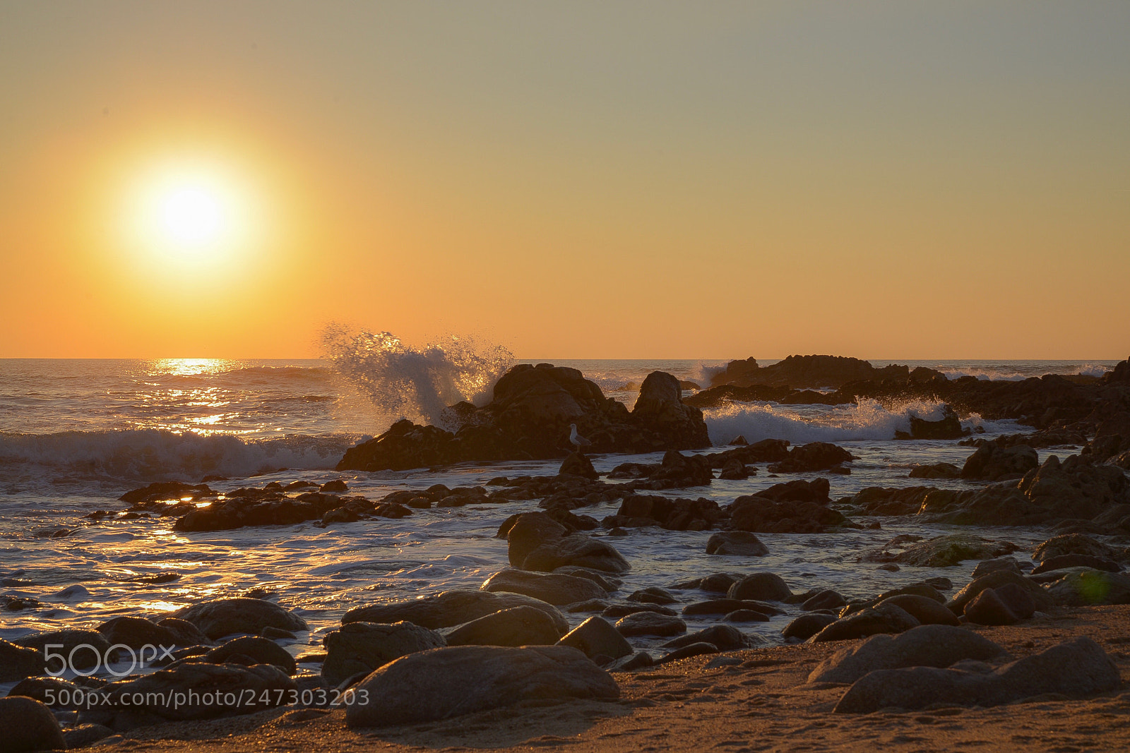 Nikon D610 sample photo. The golden hour photography