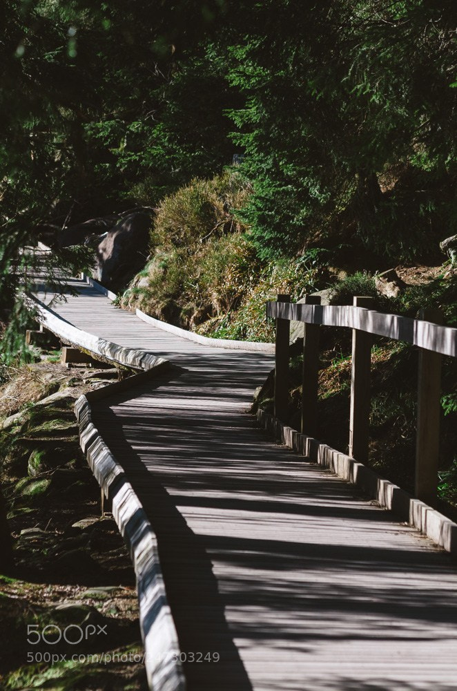 Nikon D5100 sample photo. Black forest, germany photography