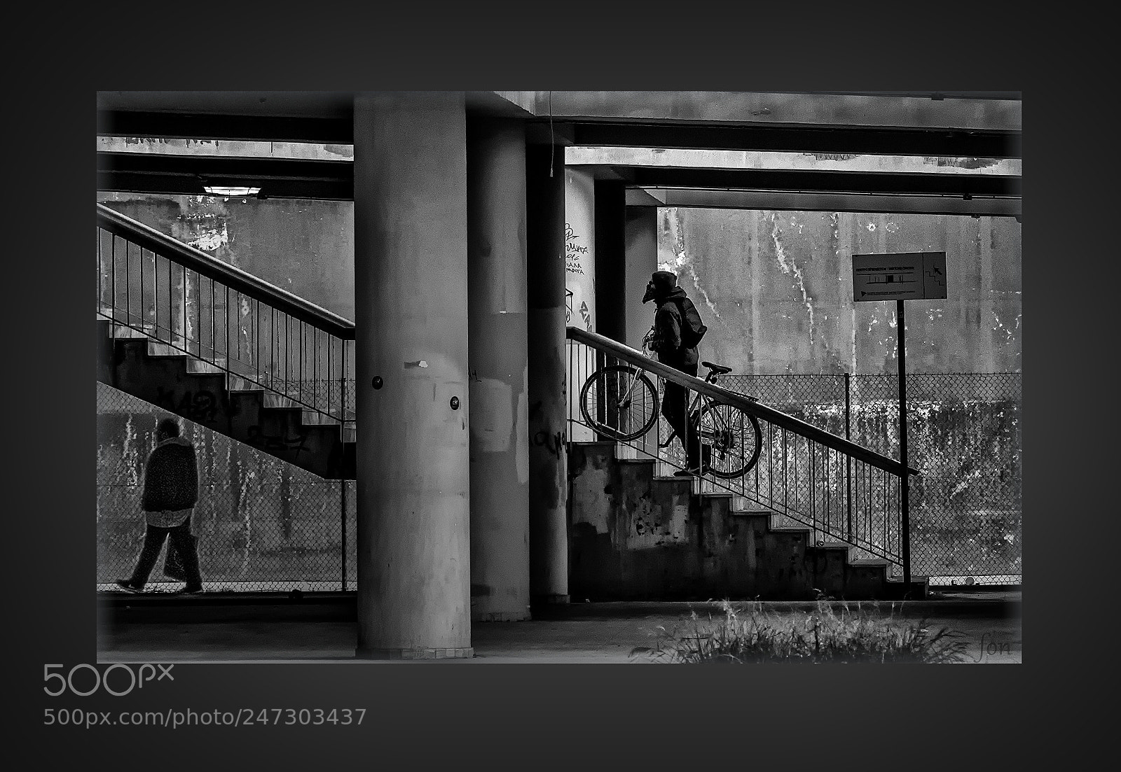 Nikon D600 sample photo. Up and down photography