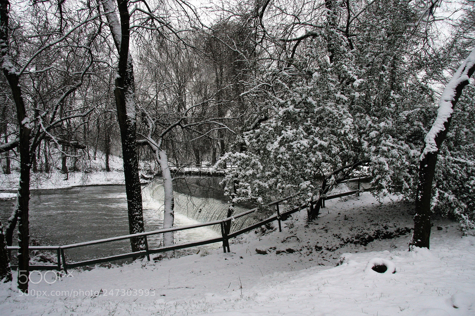 Canon EOS 40D sample photo. Winter nature photography