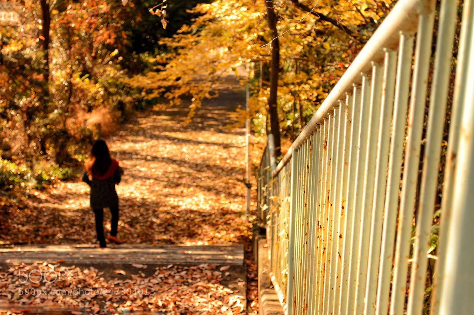 Nikon D5200 sample photo. Autumn girl photography