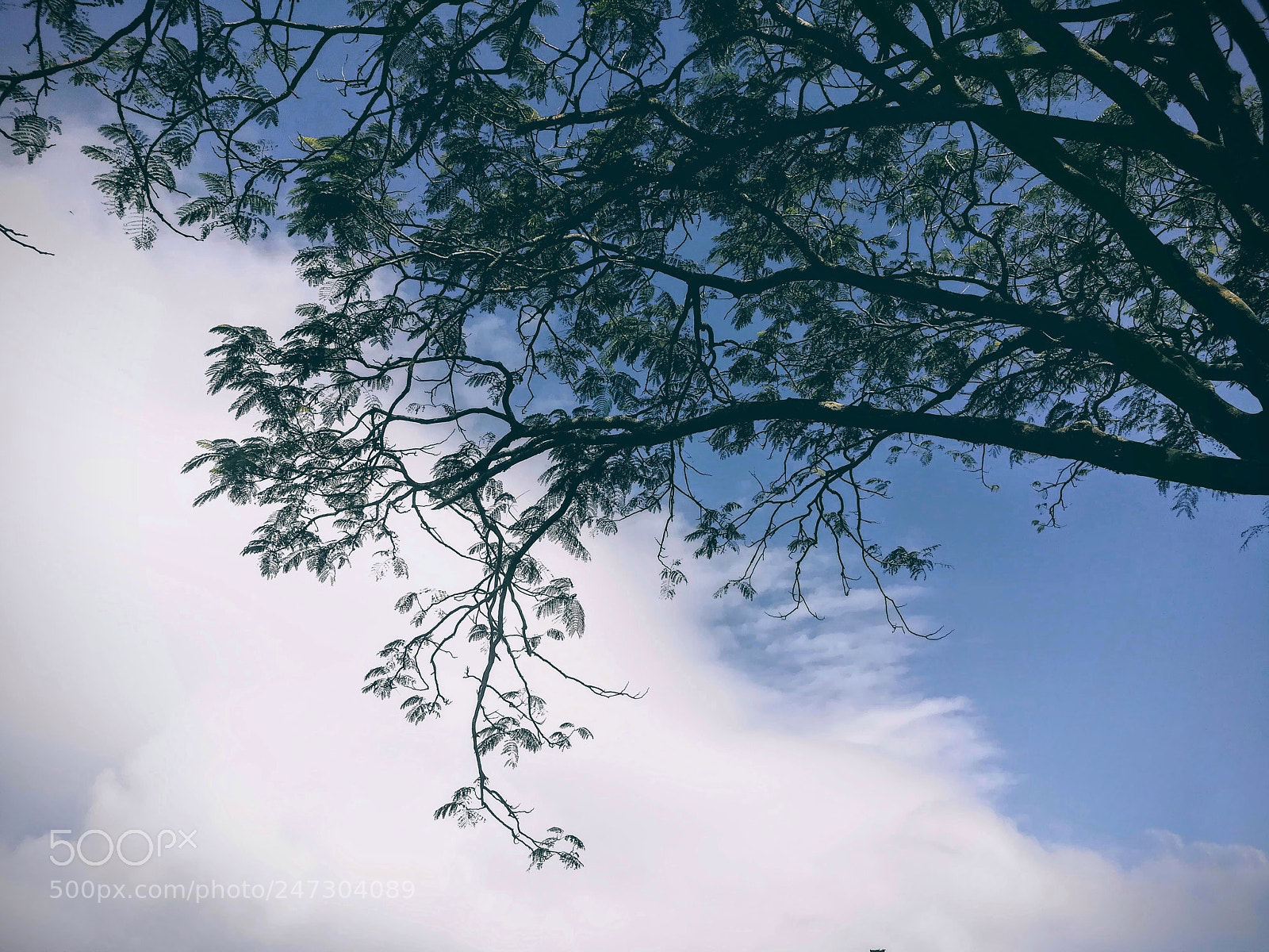 HUAWEI honor 6x sample photo. Untitled photography