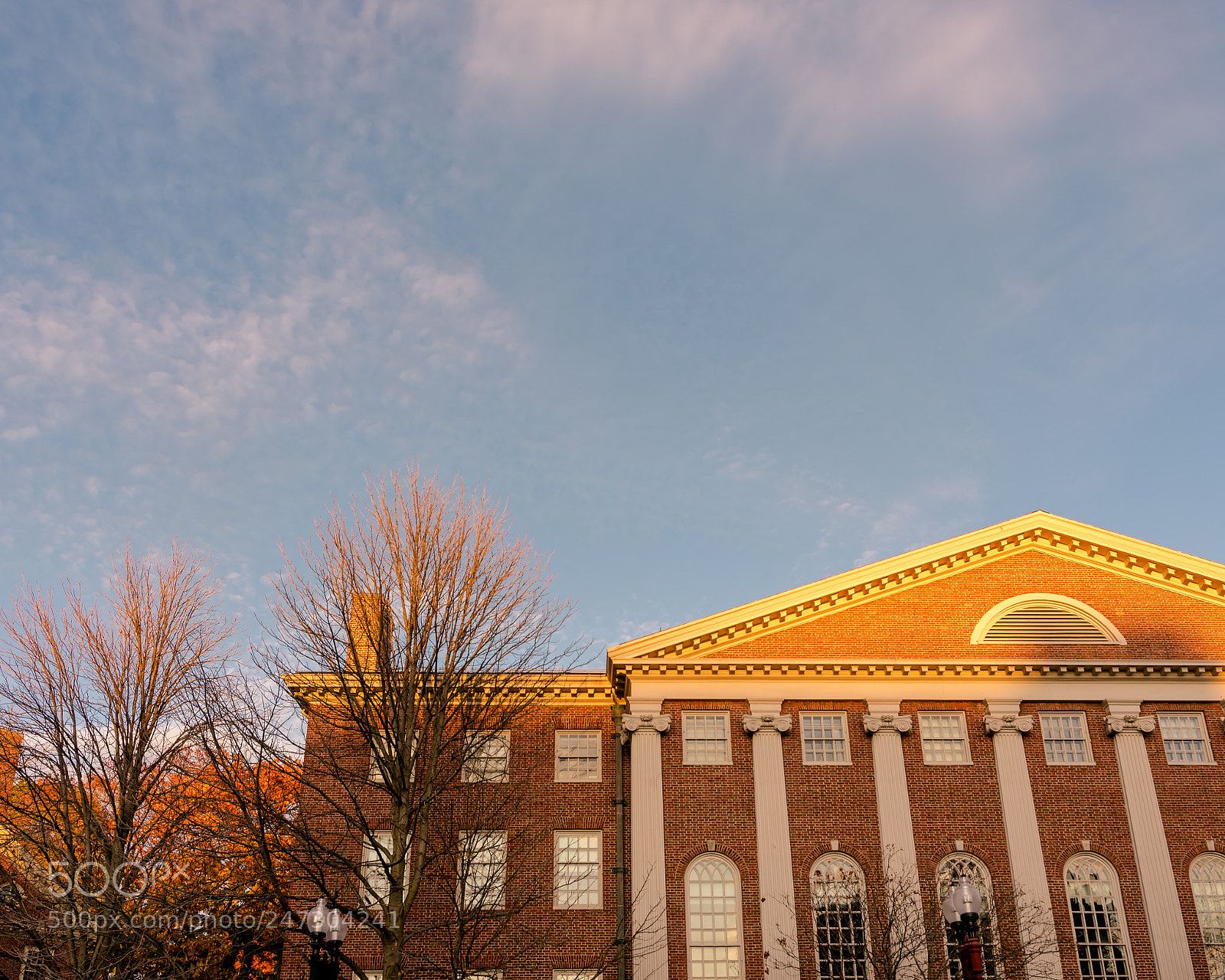 Nikon D3400 sample photo. Harvard photography