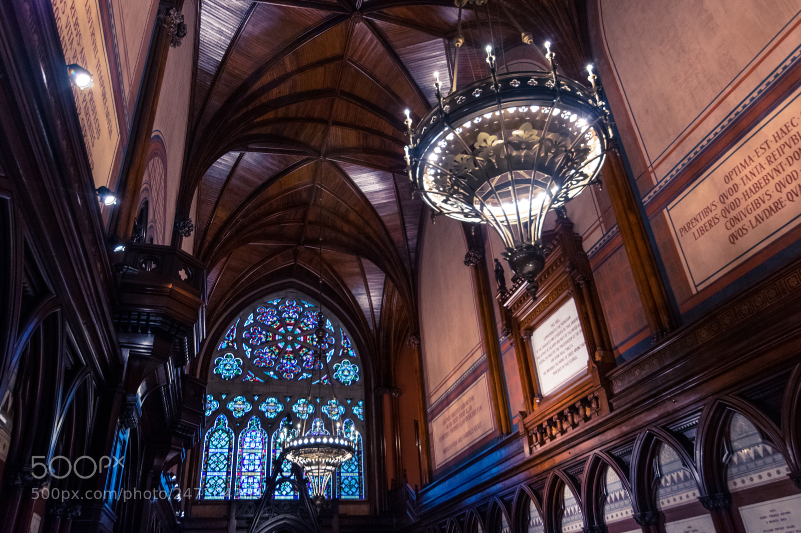 Nikon D3400 sample photo. Harvard photography