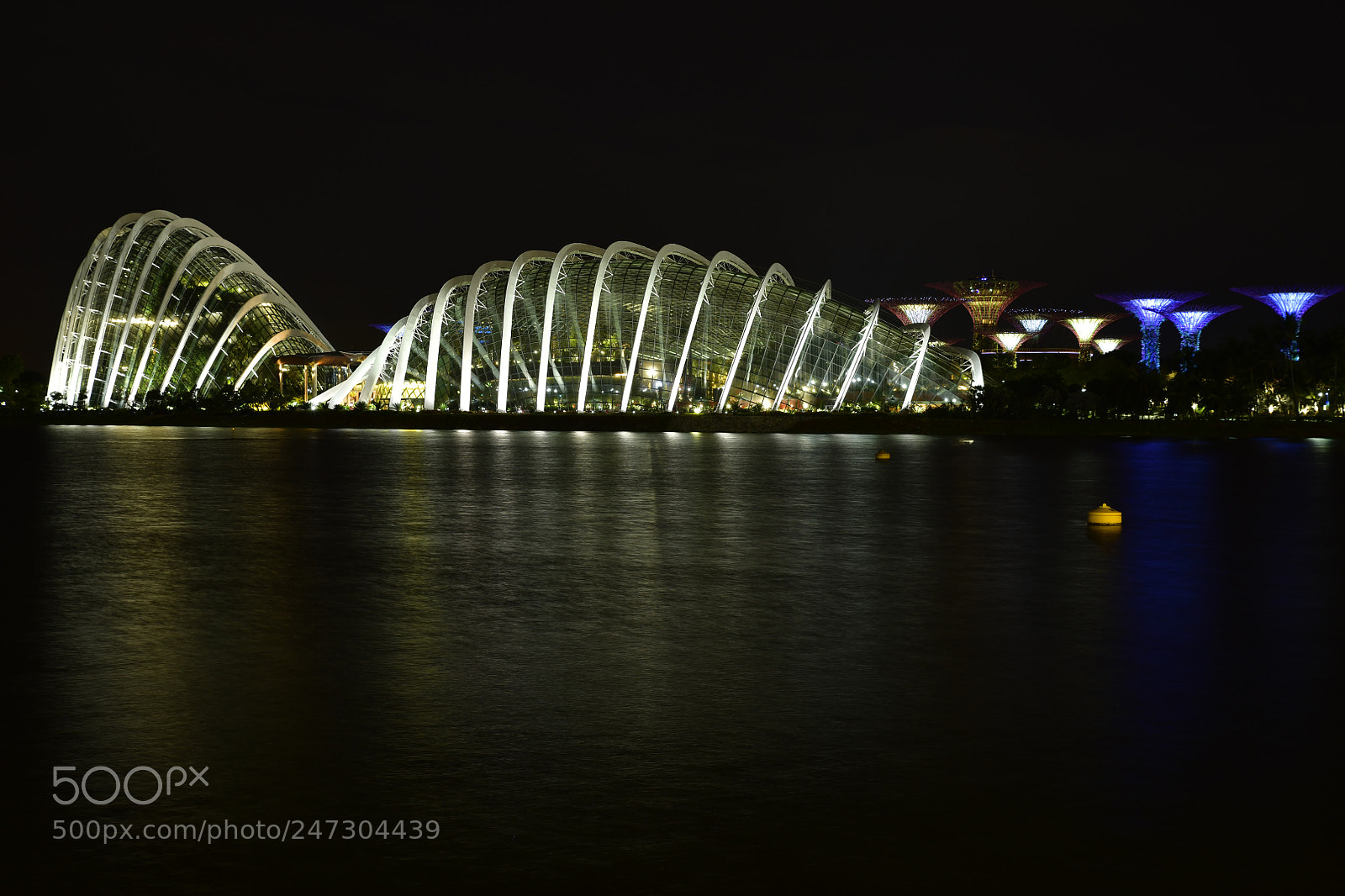 Nikon D850 sample photo. Gardens by the bay photography