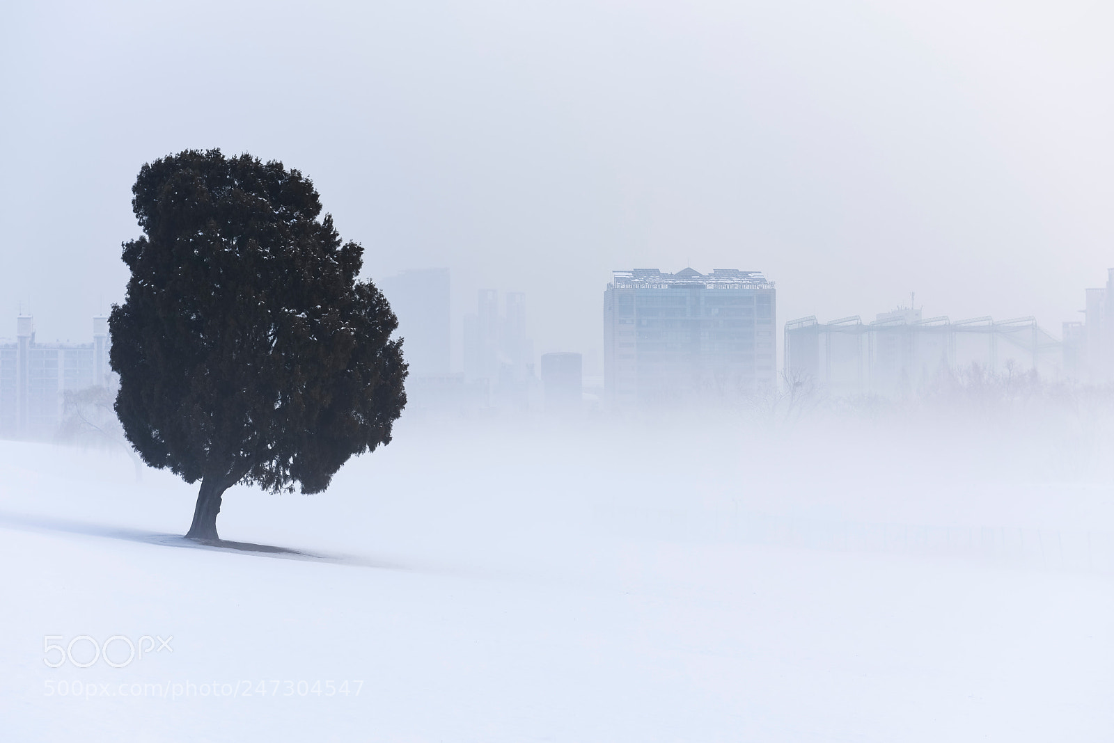 Nikon D810 sample photo. Morning photography