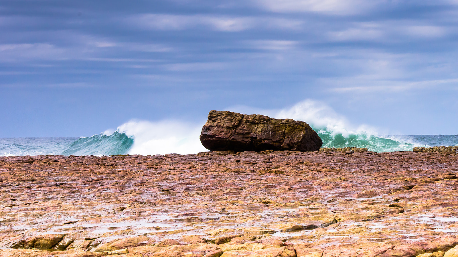 Nikon D810 sample photo. The wild coast x photography