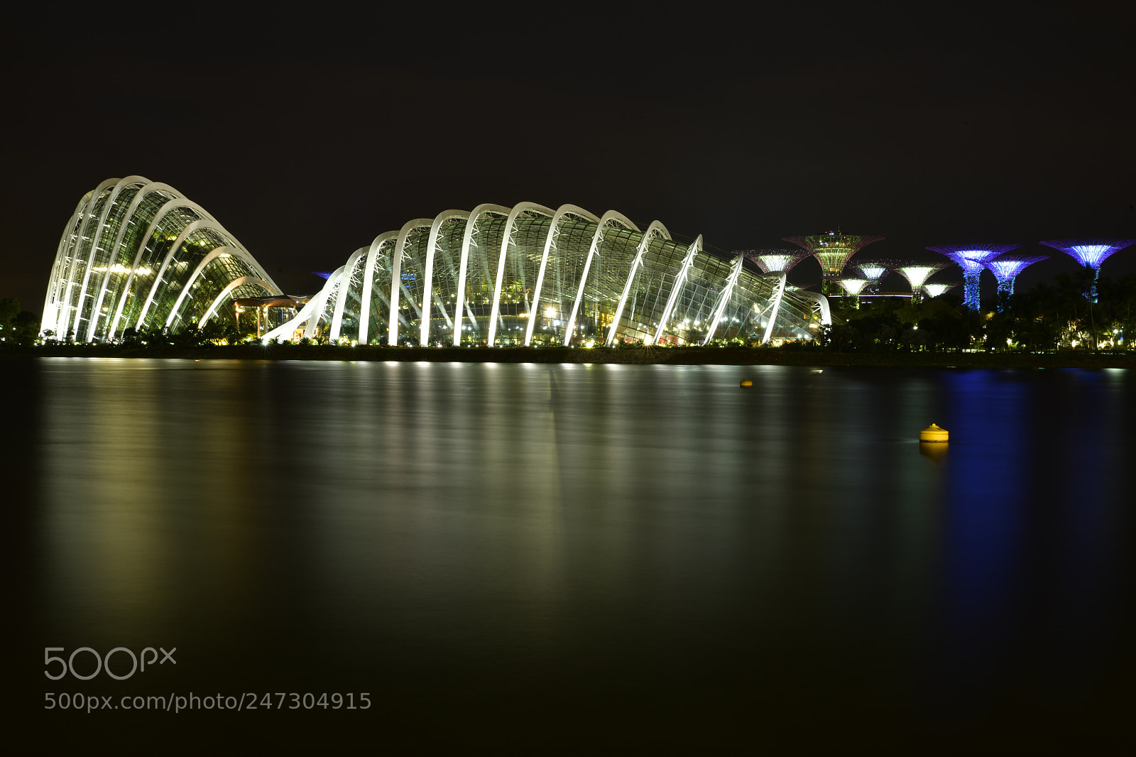 Nikon D850 sample photo. Singapore gardens by the photography