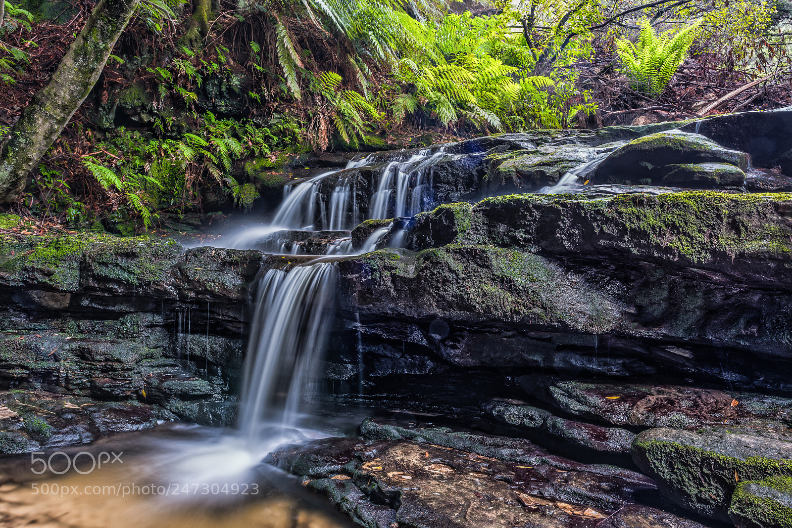 Nikon D810 sample photo. Leura cascades photography