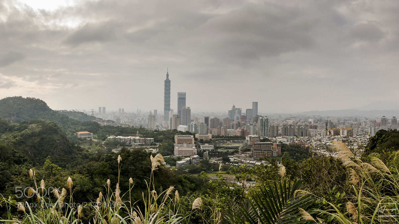 Nikon D7100 sample photo. Tiger mountain onto xinyi photography
