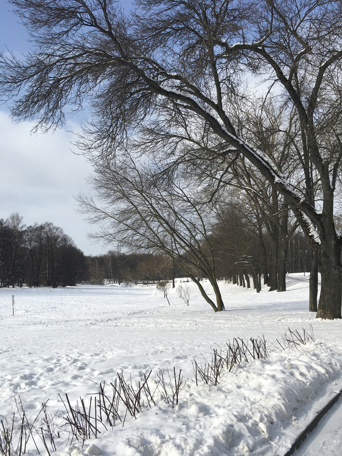 Apple iPad Pro sample photo. Minsk parks photography