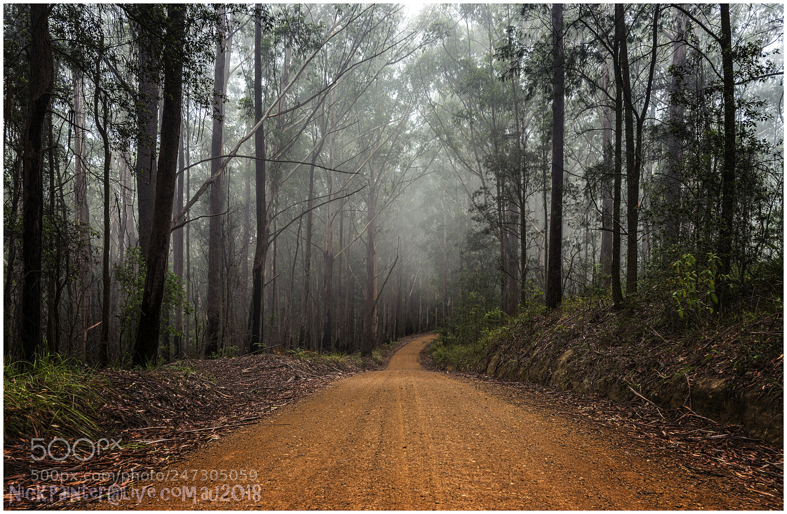 Nikon D800 sample photo. Wet and misty day photography