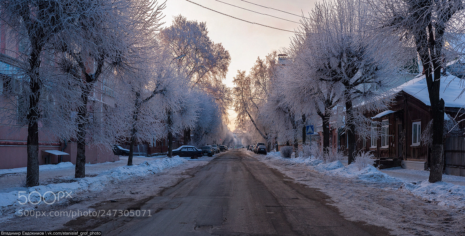 Nikon D700 sample photo. Frosty morning photography