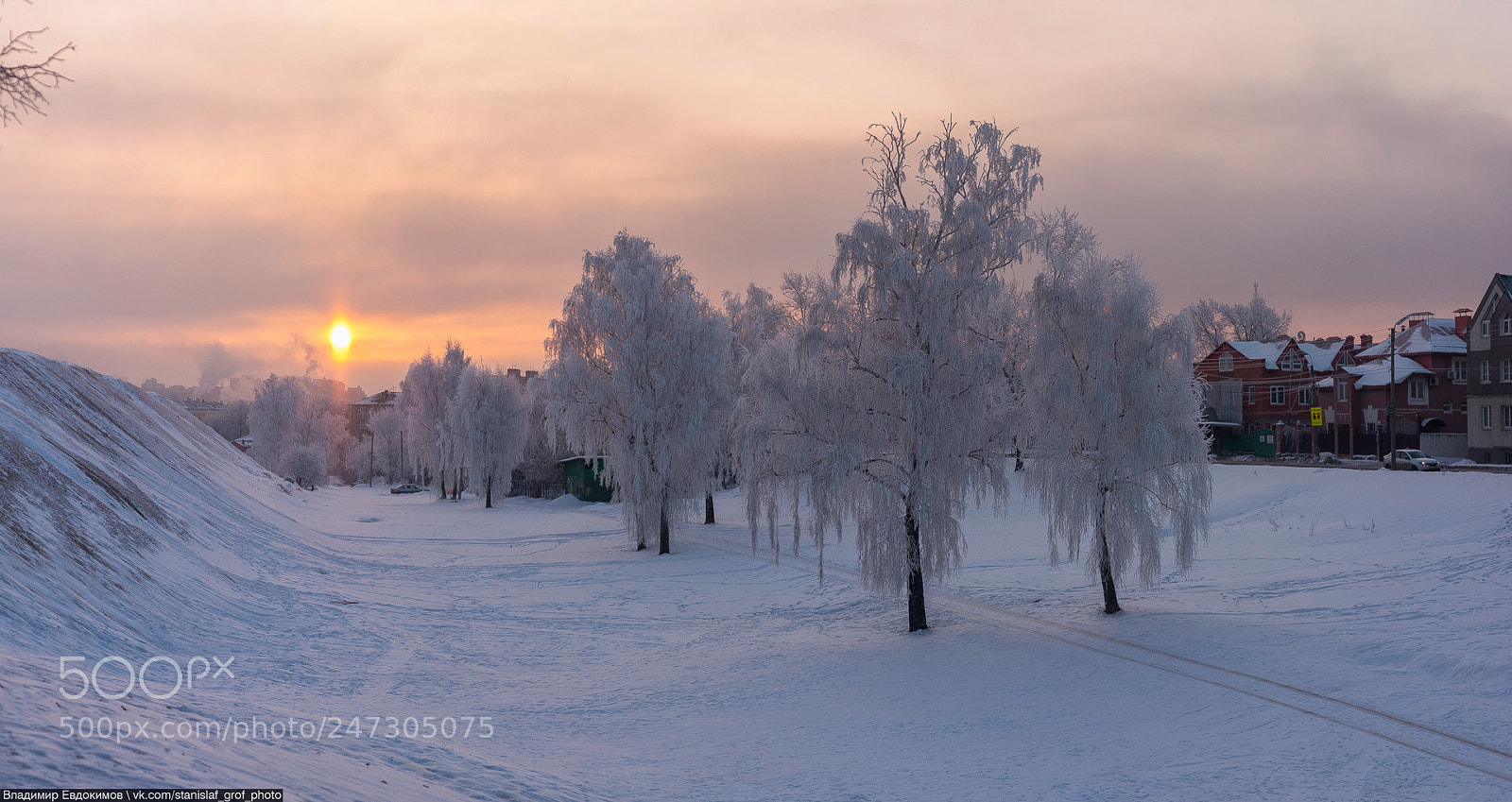 Nikon D700 sample photo. Frosty morning photography