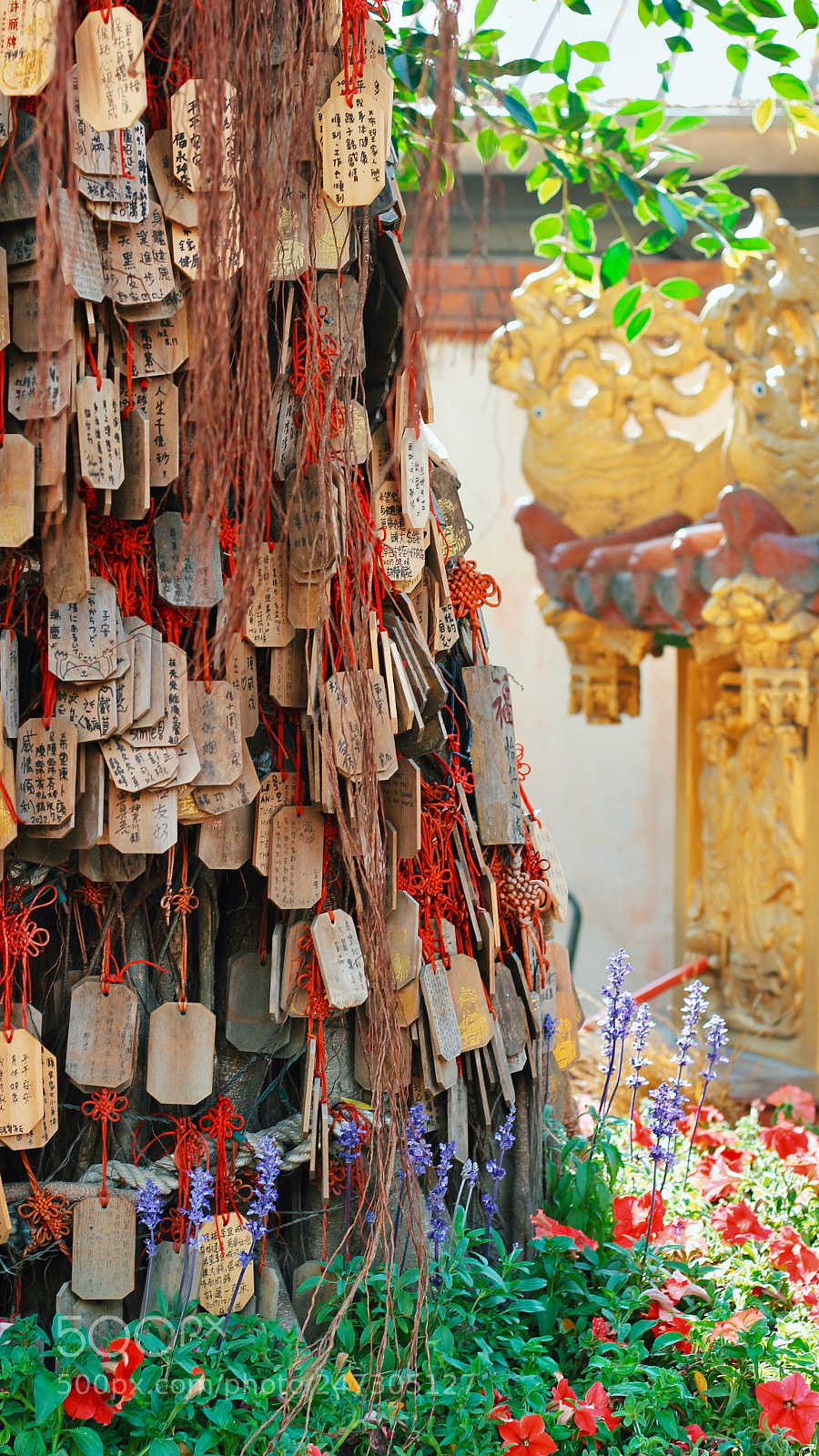 Canon EOS 60D sample photo. Untitled photography