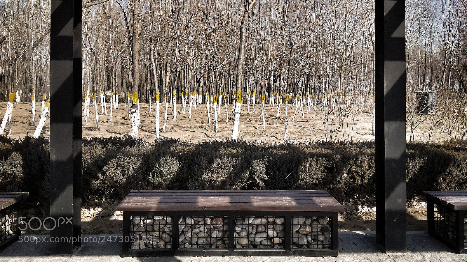 Xiaomi Redmi Note 4X sample photo. 6 photography